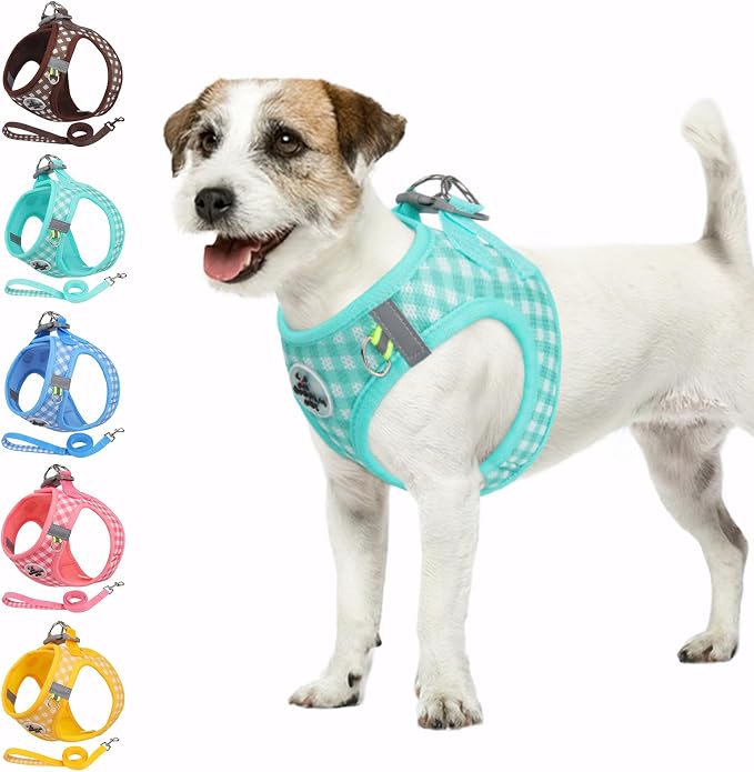 Gyuzh Dog Harness and Leash Set, Soft Mesh Breathable Small Dog Harness by Gyuzh