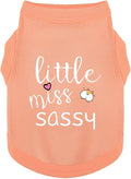 Paiaite Dog Clothes Fashionable Sleeveless Pet Vest: 'Little Miss Sassy' by Paiaite