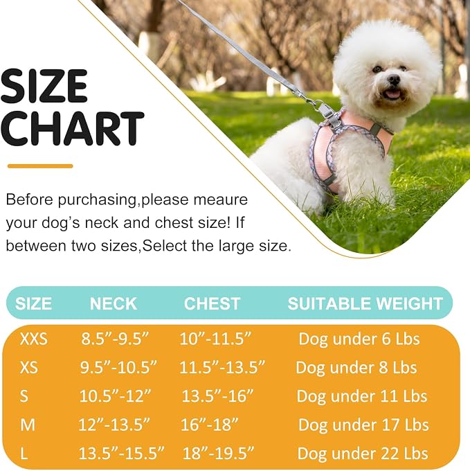 Dog Harness & Leash Set - Image 6