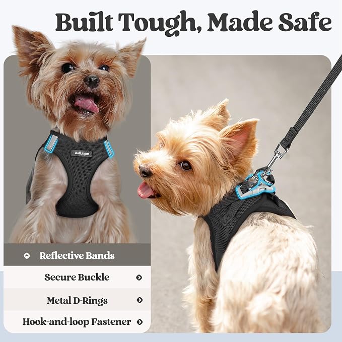 rabbitgoo Dog Harness Small Sized and Leash Set, Step in Soft Light Puppy Vest - Image 5