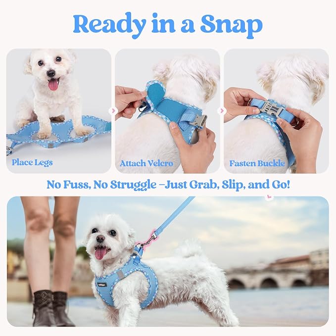 rabbitgoo Dog Harness Small Medium Sized and Leash Set, Step in Soft Light - Image 8