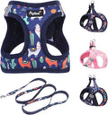 PUPTECK Dog Harness and Leash Set by PUPTECK