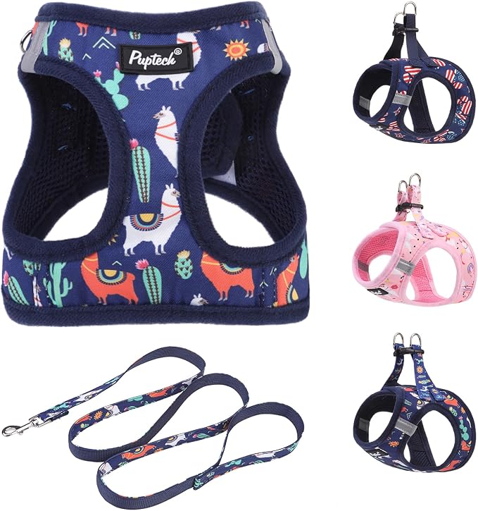 PUPTECK Dog Harness and Leash Set by PUPTECK