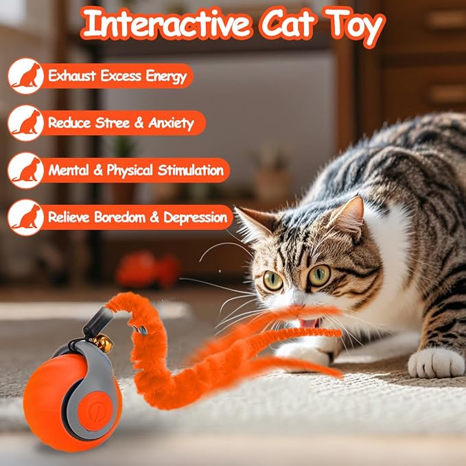 Interactive Cat Ball Toy, Self Rolling Ball - Image 3