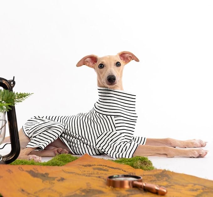 Dog Sweaters for Small Dogs Girls Boys, Striped Pet Sweaters for Fall Winter - Image 4