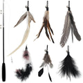 SONGWAY Interactive Cat Feather Toy Set by SONGWAY