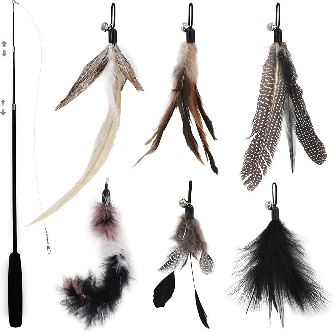 SONGWAY Interactive Cat Feather Toy Set by SONGWAY
