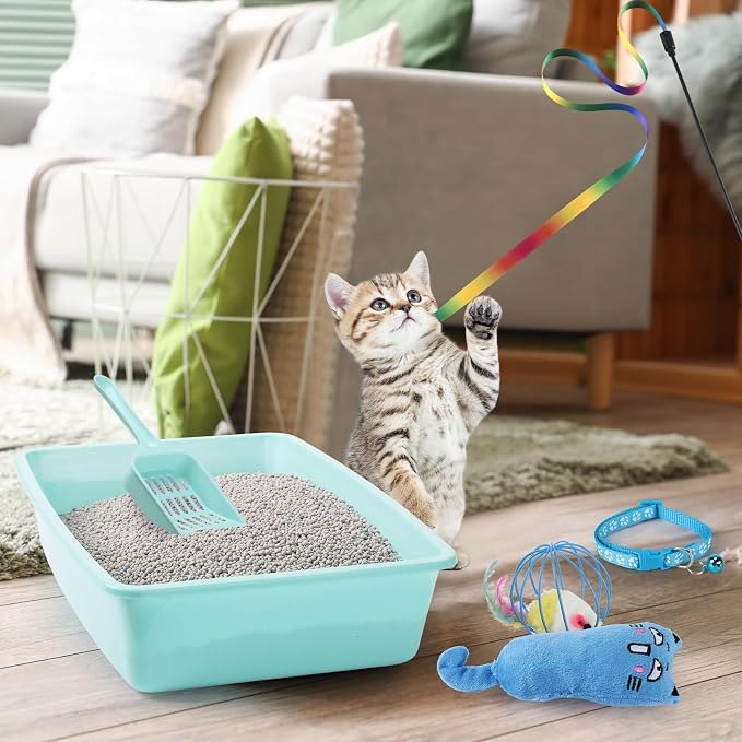 7 Pcs Small Cat Kitten Starter Kit Cat Litter Box - Image 6