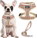PUPTECK Soft Mesh Dog Harness and Leash Set Pet Puppy Cat Comfort Padded Vest by PUPTECK