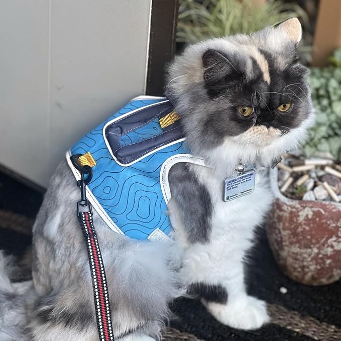 Travel CAT The Pathfinder Cat Harness - Image 7