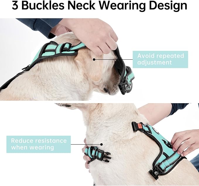 IVY&LANE No Pull Dog Harness - Image 4