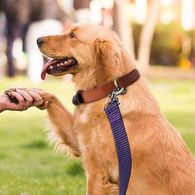 Hi Kiss Dog/Puppy Obedience Recall Training Agility Lead - 15ft 20ft 30ft 50ft - Image 6