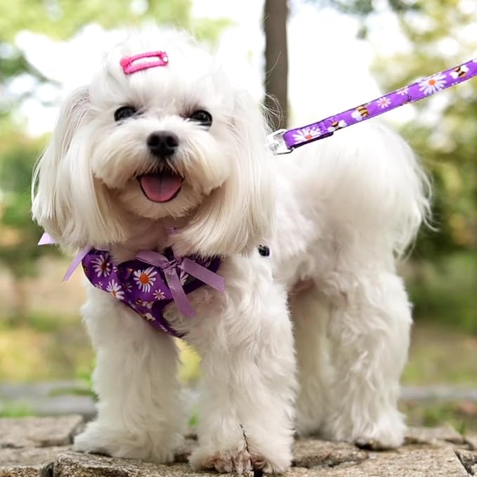 PUPTECK Dog Harness and Leash Set Small Sized, Step in No Pull Adjustable Puppy - Image 5