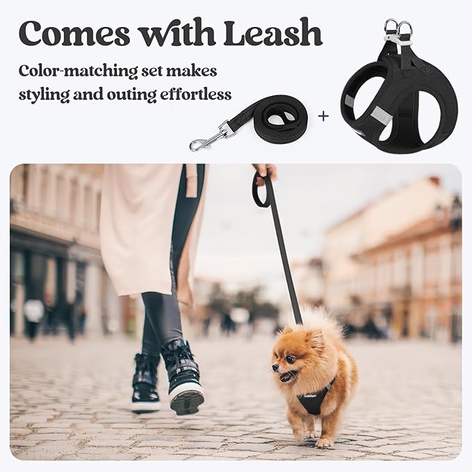 rabbitgoo Dog Harness Small Sized and Leash Set, Step in Soft Light Puppy Vest - Image 6
