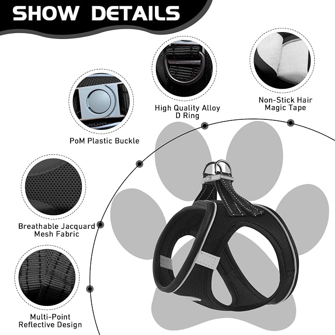 Soft Mesh Dog Harness and Leash Set, No Pull Puppy Harness and Leash Set - Image 2
