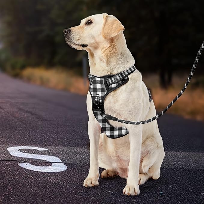 IVY&LANE No Pull Dog Harness - Image 7