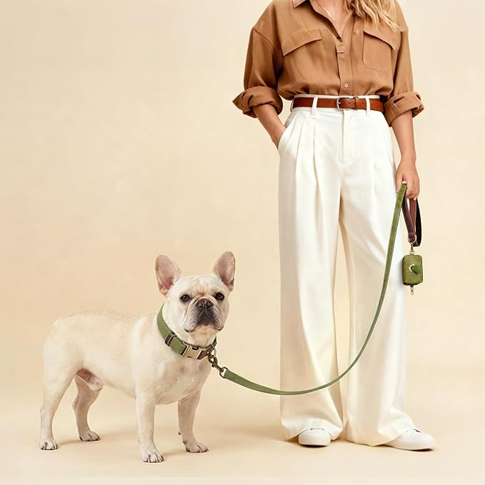 Didog Soft PU Leather Dog Collars - Image 4