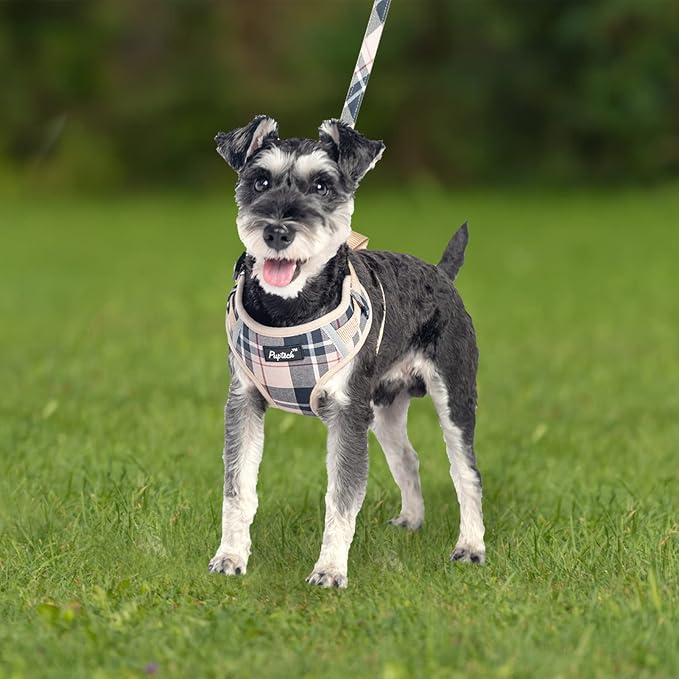 PUPTECK Small Dog Harness and Leash Set, No Pull Adjustable Puppy Cat Harness - Image 7