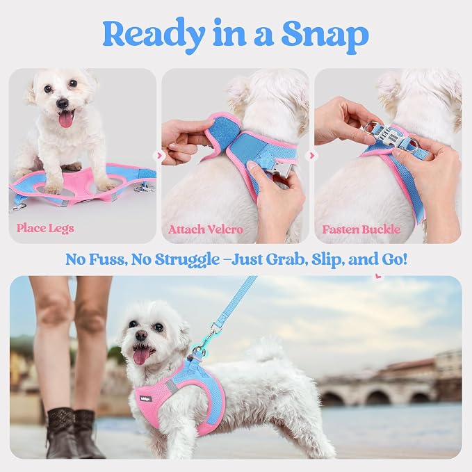 rabbitgoo Dog Harness Medium Sized and Leash Set, Step in Soft Light Puppy Vest - Image 8