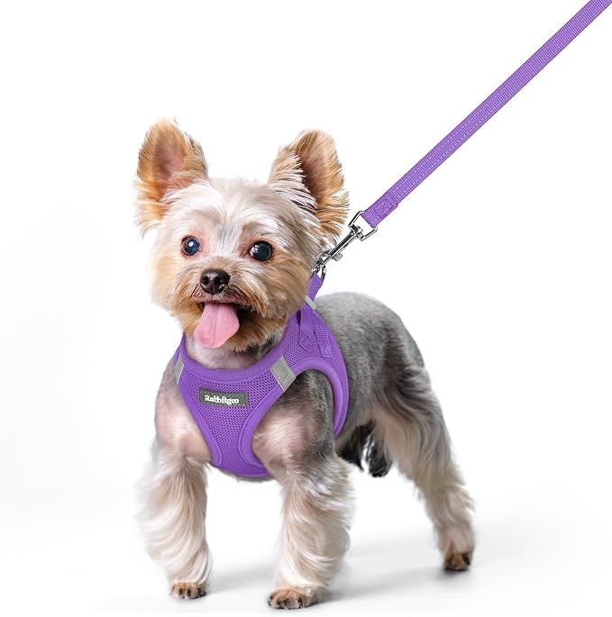 rabbitgoo Dog Harness Small Sized and Leash Set, Step in Soft Light Puppy Vest by rabbitgoo