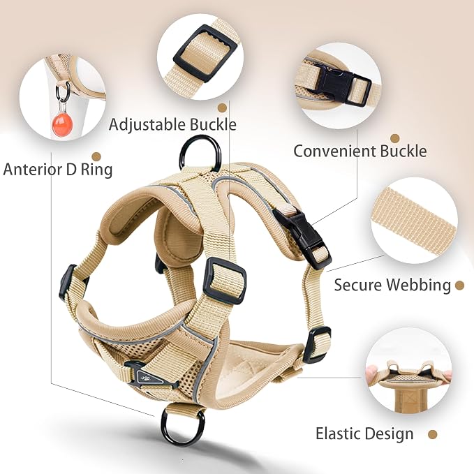 No Pull Dog Harness with Leash Set - Image 4