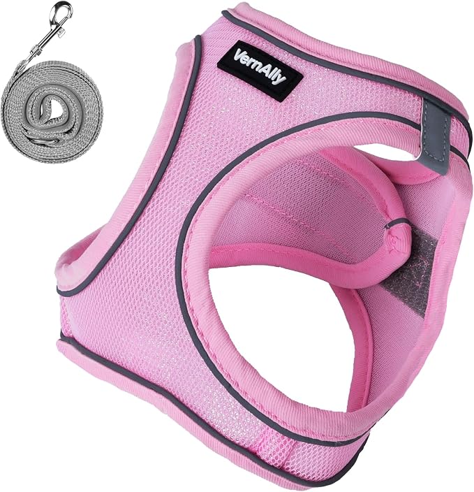 Sparkly Dog Harness Small Sized and Leash Set - Image 9