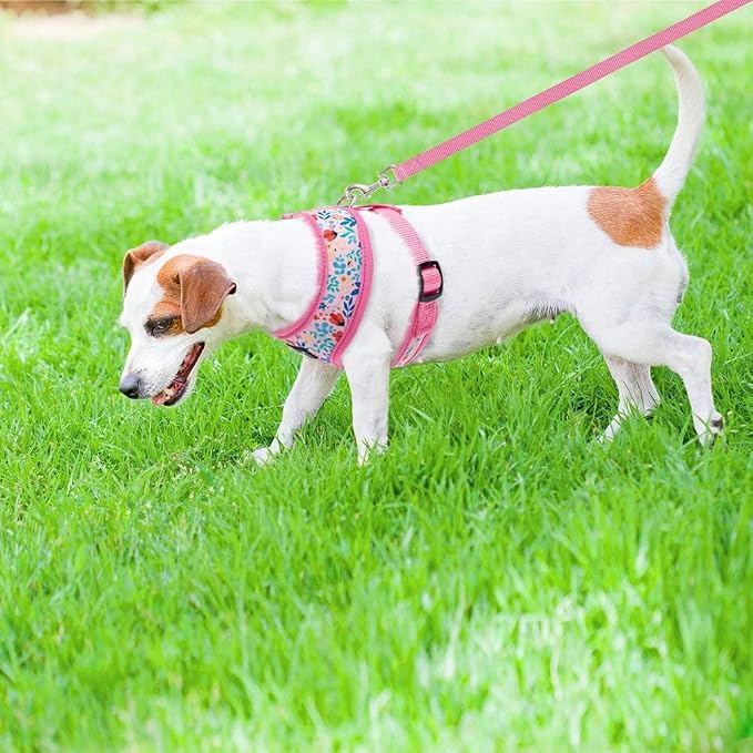 PUPTECK Soft Mesh Dog Harness and Leash Set Pet Puppy Cat Comfort Padded Vest - Image 7