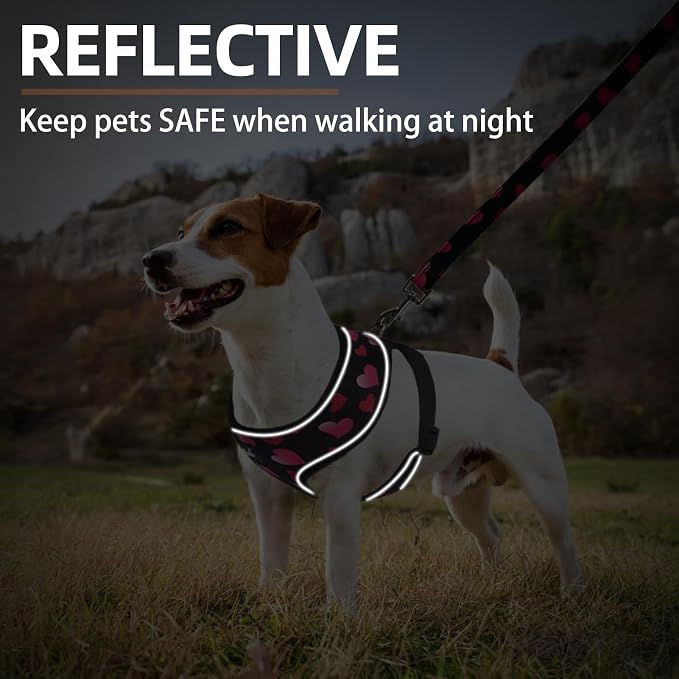 PUPTECK Soft Mesh Dog Harness and Leash Set Pet Puppy Cat Comfort Padded Vest - Image 6