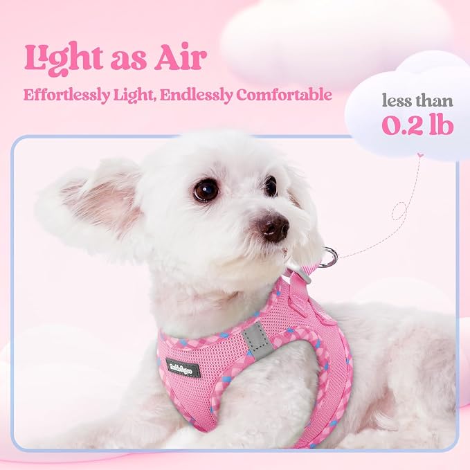 rabbitgoo Dog Harness Small Sized and Leash Set, Step in Soft Light Puppy Vest - Image 4