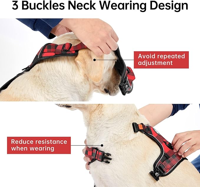 IVY&LANE No Pull Dog Harness - Image 3