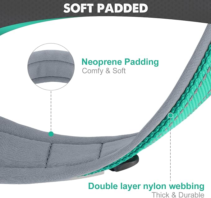 Joytale Dog Collar for Large Dogs, Neoprene Padded and Adjustable, Reflective - Image 2