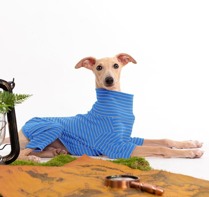 Dog Sweaters for Small Dogs Girls Boys, Striped Pet Sweaters for Fall Winter - Image 4