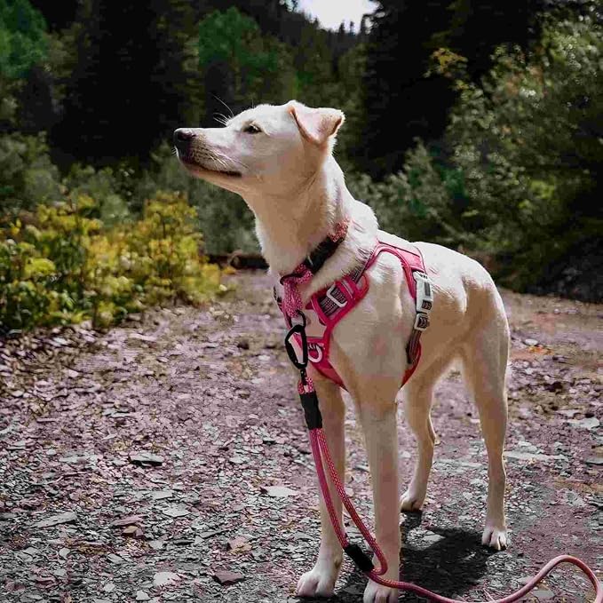 AUROTH Tactical Dog Harness for Small Medium Large Dogs No Pull Adjustable Pet - Image 6