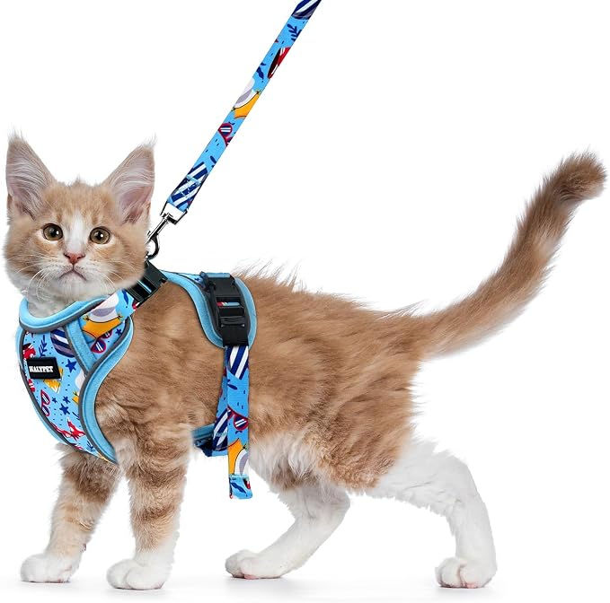 Halypet Cat Harness and Leash Set by DOMoreWithYourPet