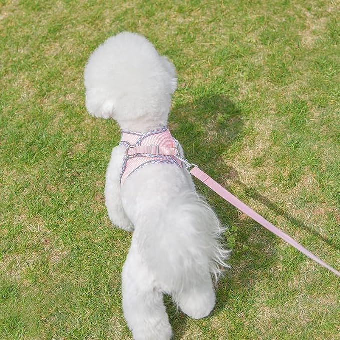 Dog Harness and Leash Set, No Pull Adjustable Reflective Pet Harness, Mesh Dog - Image 5