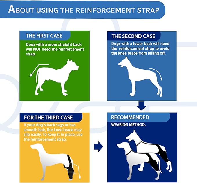 Dog Knee Brace for Hind & Rear Legs – Canine Leg Support for ACL, and Cruciate - Image 6