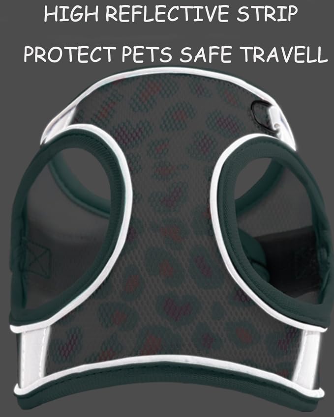Dog Harness for Small Medium Dogs No Pull, Cat Harness and Leash Set, Step in - Image 4