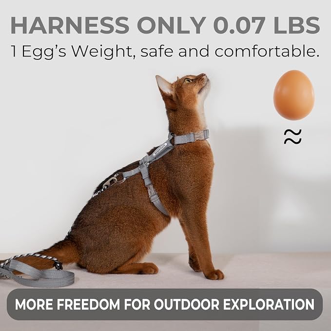 Cat Harness and Leash Set - Image 2