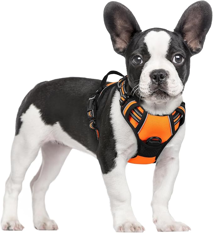 rabbitgoo Dog Harness No Pull by rabbitgoo