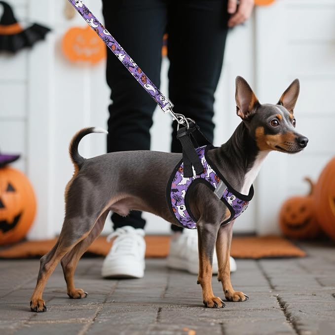 KOOLTAIL Halloween Dog Harness and Leash Set - Image 7