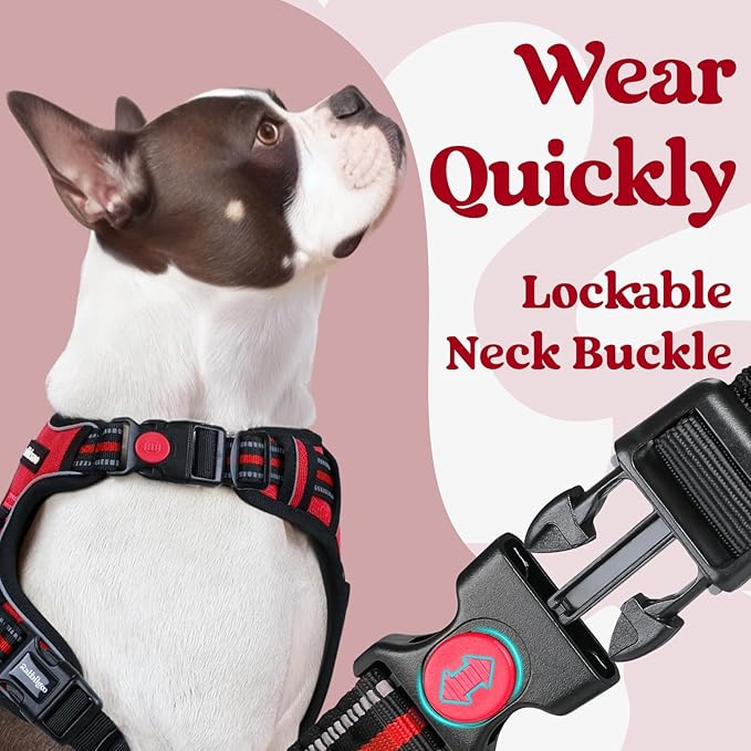 rabbitgoo Dog Harness Medium Sized, No Pull Pet Harness - Image 3