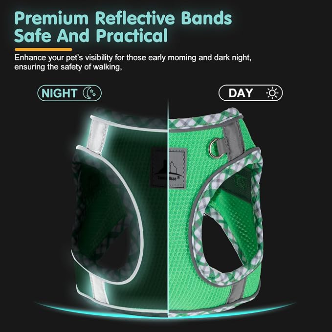 Dog Harness and Leash Set, No Pull Pet Harness - Image 5