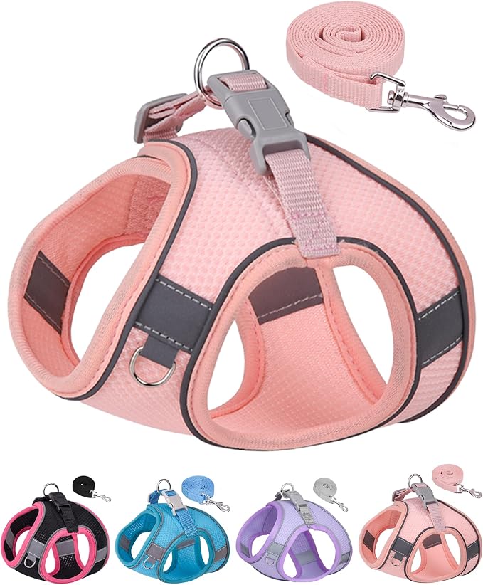 Dog Harness for Small Medium Sized Dog, Step in Puppy Harness and Leash Set by Aecllcea