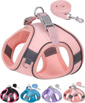 Dog Harness for Small Medium Sized Dog, Step in Puppy Harness and Leash Set by Aecllcea