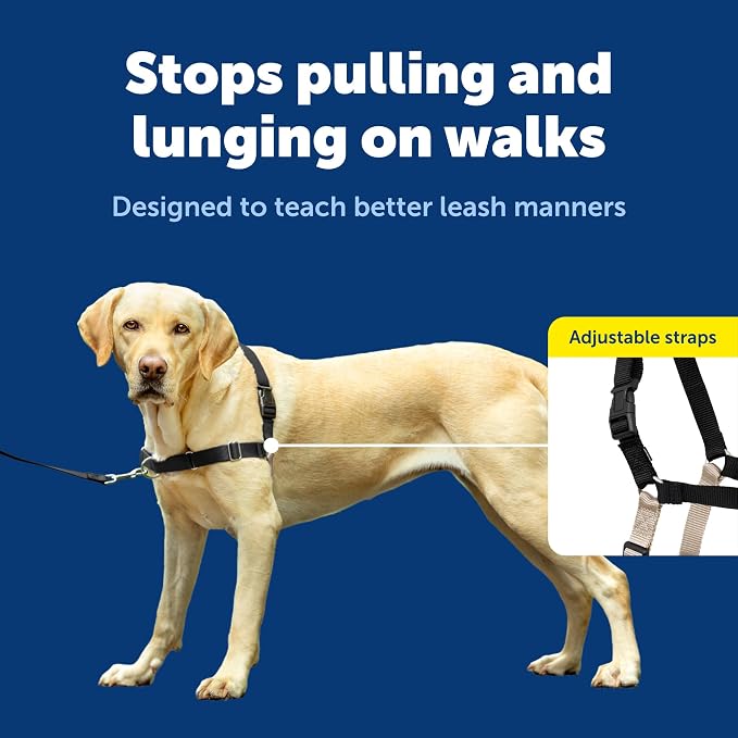 PetSafe Easy Walk Harness for Dogs - Image 4