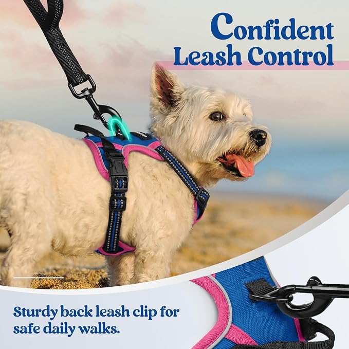 rabbitgoo Dog Harness No Pull - Image 6