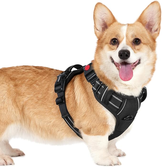 rabbitgoo Dog Harness Small Sized, No Pull Pet Harness by rabbitgoo