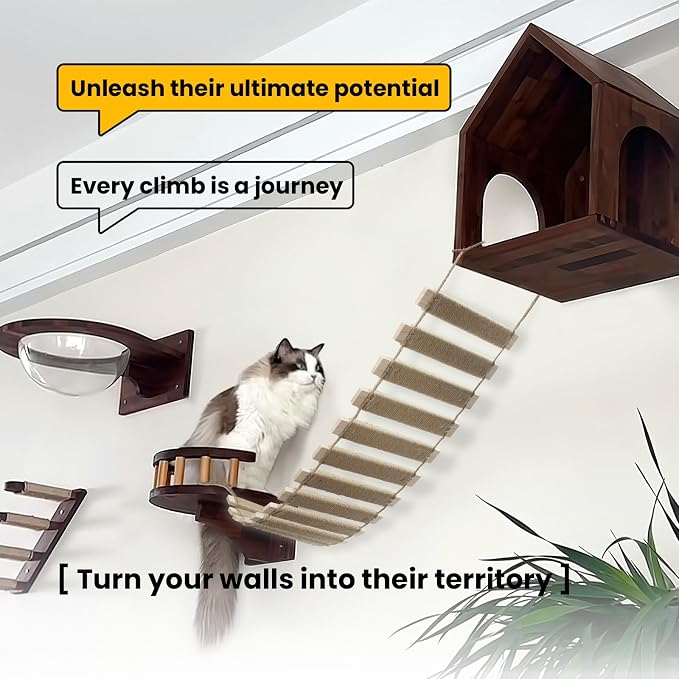 40in Cat Ladder & Bridge, Outdoor Cat Tree - Image 4