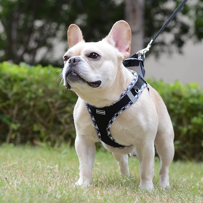 Mercano Soft Mesh Dog Harness and Leash Set, No-Chock Step-in Reflective - Image 4
