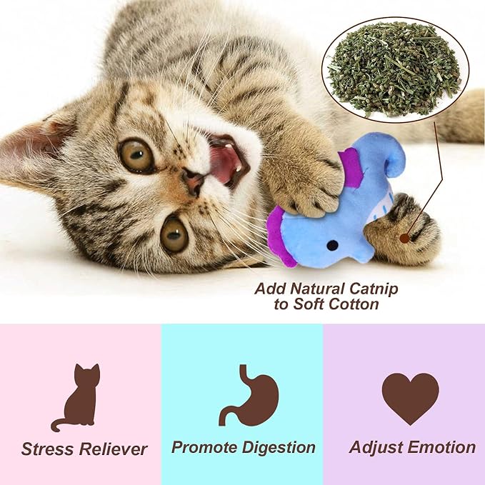 Catnip Toys for Indoor Cats Kitten Interactive Toys for Cat Lovers Gifts Chew - Image 3